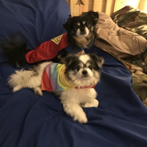 Fundraising Page: Tina Sorokie